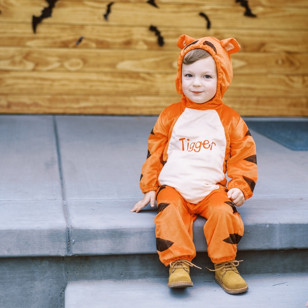Tigger costume (Winnie the Pooh)